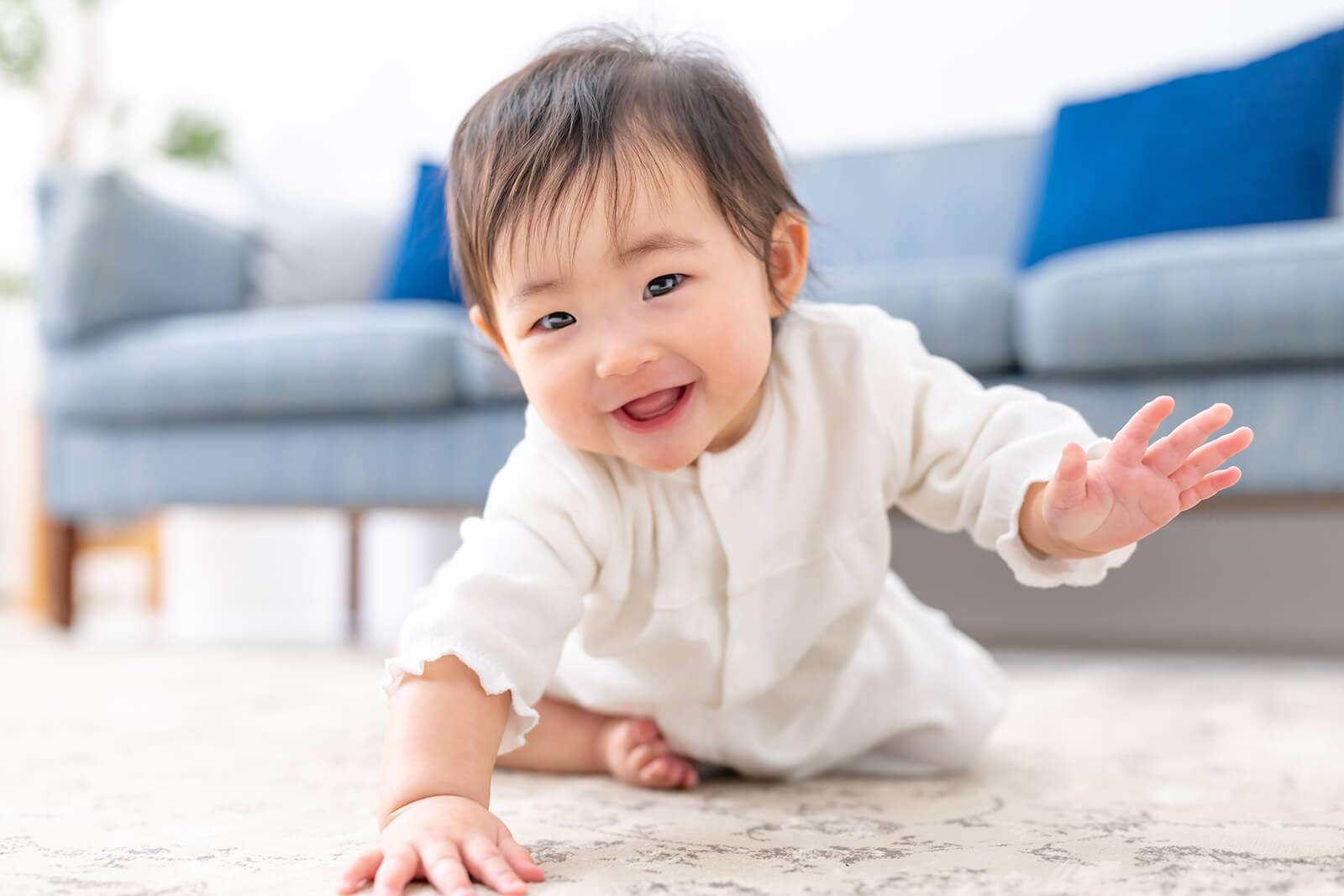 乳幼児健診（歯が生える前からの歯科相談）